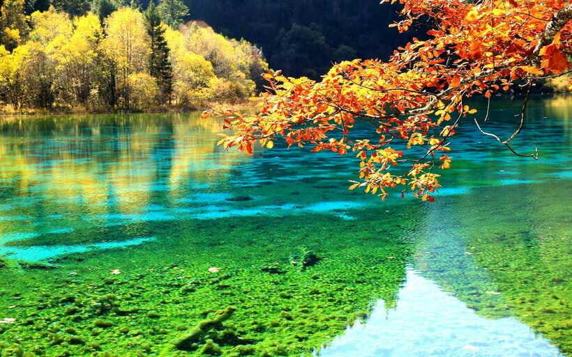 2 Day Chengdu to Jiuzhaigou&Huanglong Self-Guided w/Transfer - What Makes This Tour Stand Out?