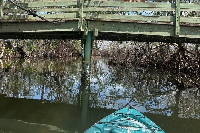3 hour E.G. Simmons Park Mangrove Tunnel Tour - The Experience: What You’ll See and Feel