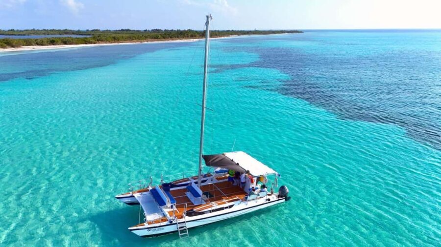 4 Hour Turtle Sanctuary Experience on a Luxury Catamarán - What Reviewers Say