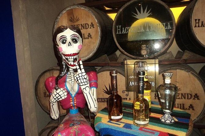 A taste of Los Cabos. A San Jose and Cabo San Lucas City Tour - How the Experience Feels in Practice