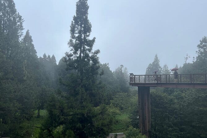 Alishan, Sun Moon Lake, Taichung Three Days Tour from Taipei - Who Would Enjoy This Tour?