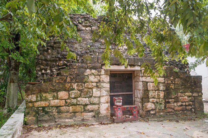 ATV Mud Kicking and Snorkeling by Boat in Cozumel - What the Reviews Say
