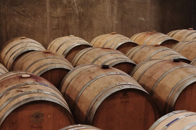 Baja Tour Guide wine tour - Who Will Love This Tour?