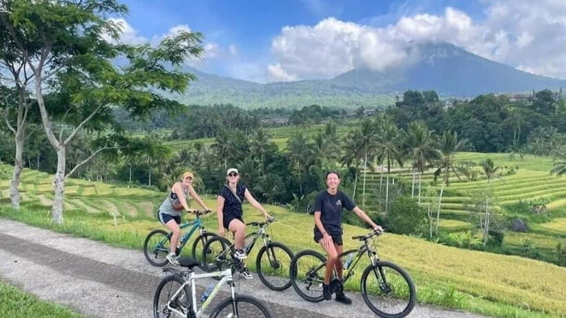 Bali: Jatiluwih Cycling Tour with Lunch and Hotel Transfer - Analyzing the Experience: Value and Authenticity