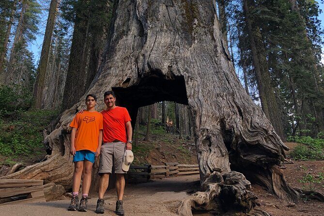 Big Trees Hike & Riverside Cookout Adventure - Final Thoughts: Is It Worth It?