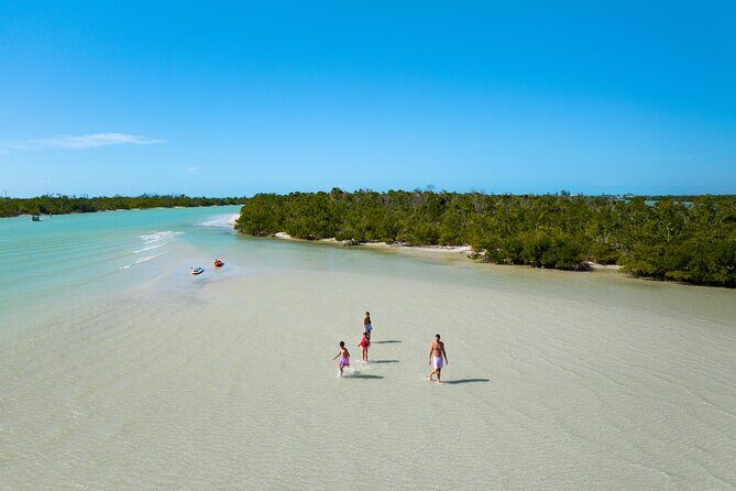 Boca Grande Kayaking Tour - Evaluating the Cost and Overall Value