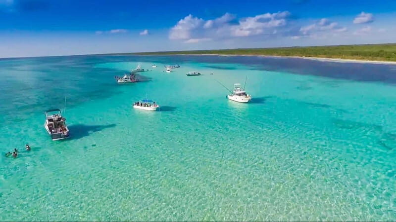 Cozumel: El Cielo & Palancar Snorkel with Open Bar & Ceviche - The Value of the Tour: What You’re Getting for $68