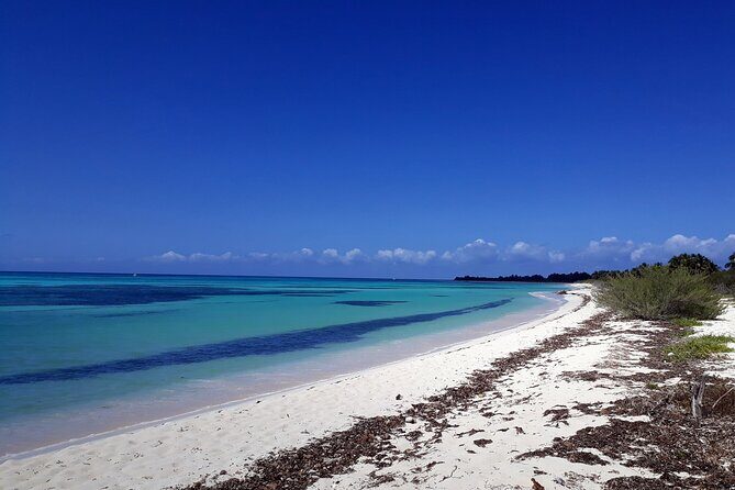 Cozumel National Park and Beach Break: Private Tour - What Makes This Tour Stand Out?