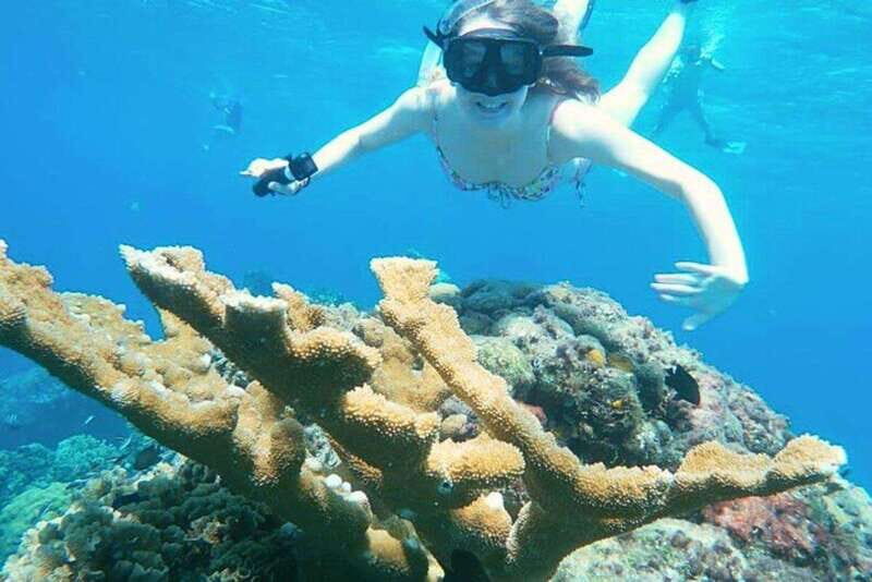 Cozumel: Private Snorkel Tour El Cielo + 3 Reefs Food Drinks - Why Choose This Tour?