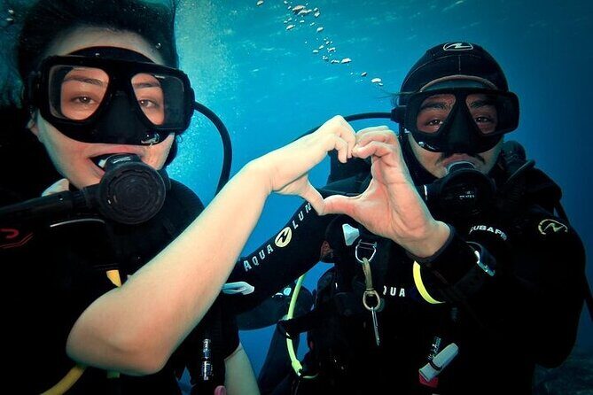 Discover Scuba Diving in Cozumel Paradise Reef - What’s Included and What to Expect