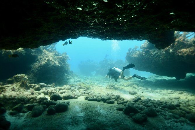 Discover Scuba Diving in Tulum - What’s Included and Not Included