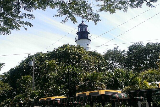 Dolphin Morning Watching & Snorkeling + open bar + 1 day Hop-On Hop-Off Fun - Who Will Love This Tour?