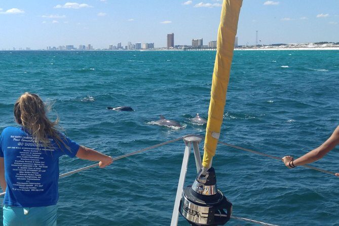 Dolphin Sightseeing Tour on The Footloose Catamaran from Panama City Beach - The Sum Up
