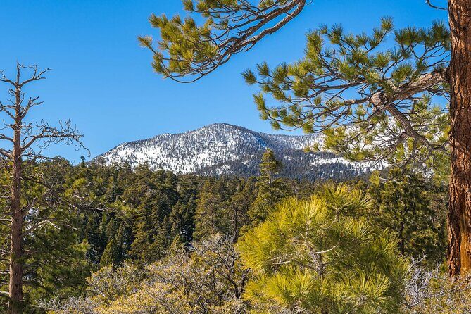 From San Diego: Two-Day Camping and Hiking Adventure in Idyllwild - The Itinerary in Detail