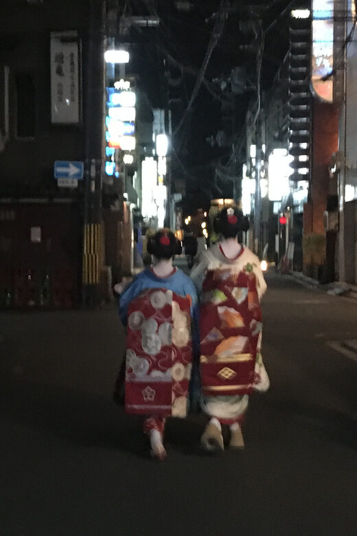 Gion: Night Owl Walking Tour - Final Thoughts