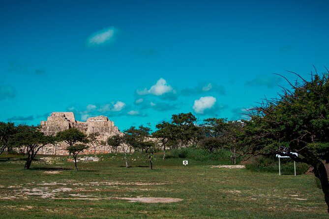 Half-Day Archeological Private Tour in San Miguel De Allende - The Value Proposition