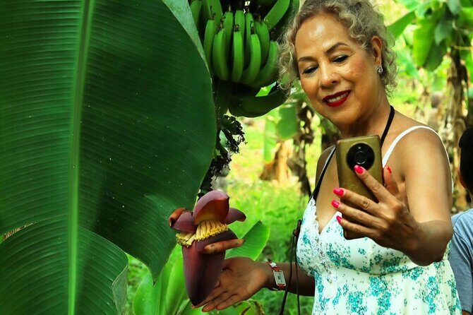 Hands-on Mexican Farm Experience: from Cow to Cheese