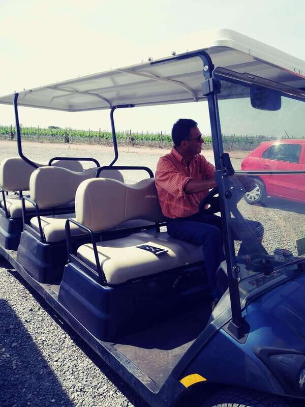 Leon: Dolores Hidalgo Viñedo Tres Raíces Wine Tour - Who Will Enjoy This Tour?