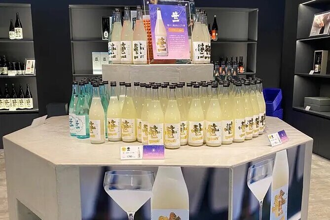 Mt. Fuji, Onsen (tattoo ok) & Japanese Sake, Wine & Whiskey tour - Who Is This Tour Best For?