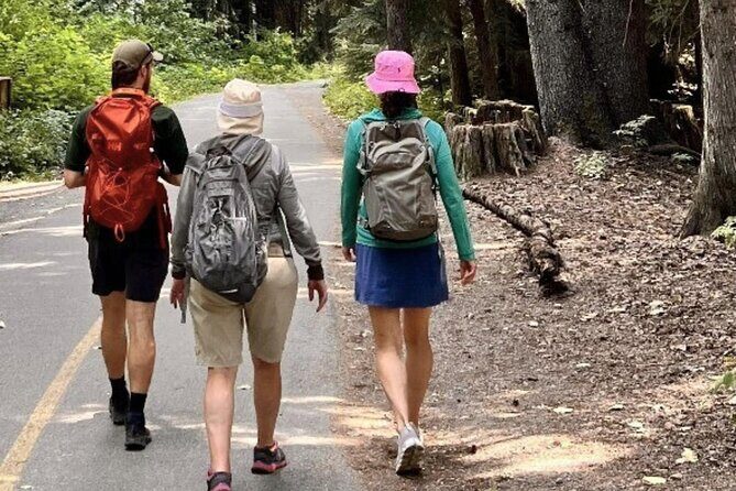 Nature Walk - The Practicalities: What You Need to Know