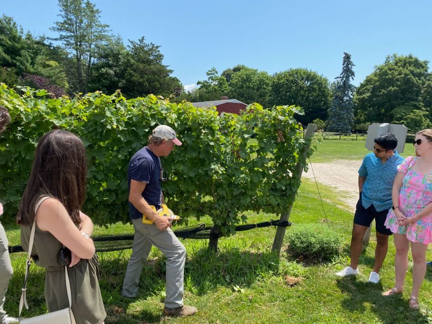 NYC: Long Island Sommelier-Guided Wine Tasting Tour - Insights from Authentic Reviews