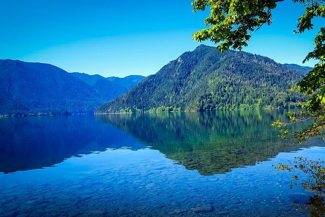 Olympic National Park Day Tour from Seattle - Value and Who Will Love This Tour