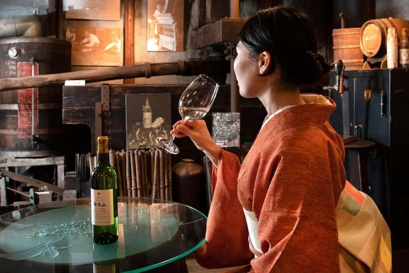 Osaka Winery Tour with Wine Tasting & Vineyard Walk - Who Will Love This Tour?