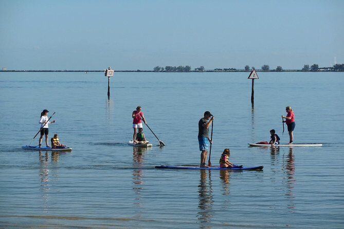 Paddle Board Rental around Harbour Island - Key Points