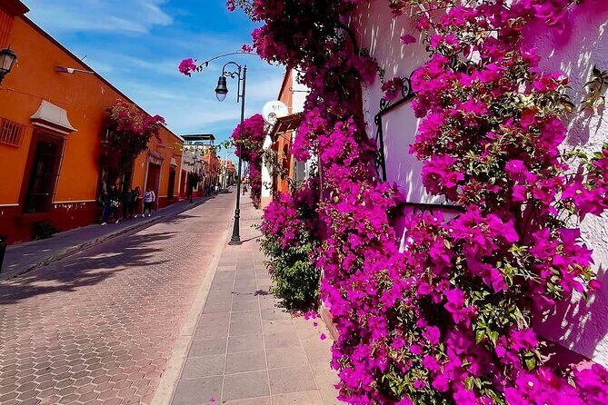 Pena de Bernal Tequisquiapan and wine - Practical Details and Value