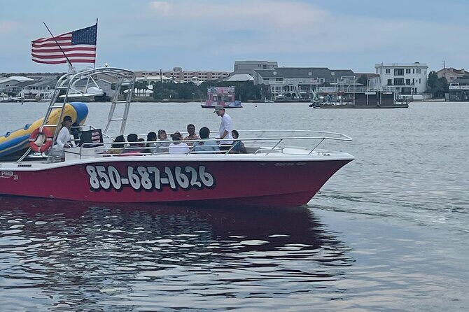 Private Dolphin Cruise - What to Expect on the Boat