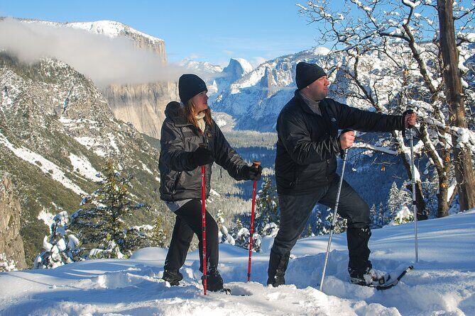 Private Guided Snowshoe Hike in Yosemite - Authentic Experiences from Past Participants