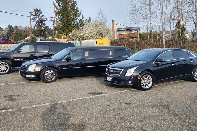Private Transfer- San Francisco Airport (SFO) to Cruise Terminal - Why Choose This Transfer?