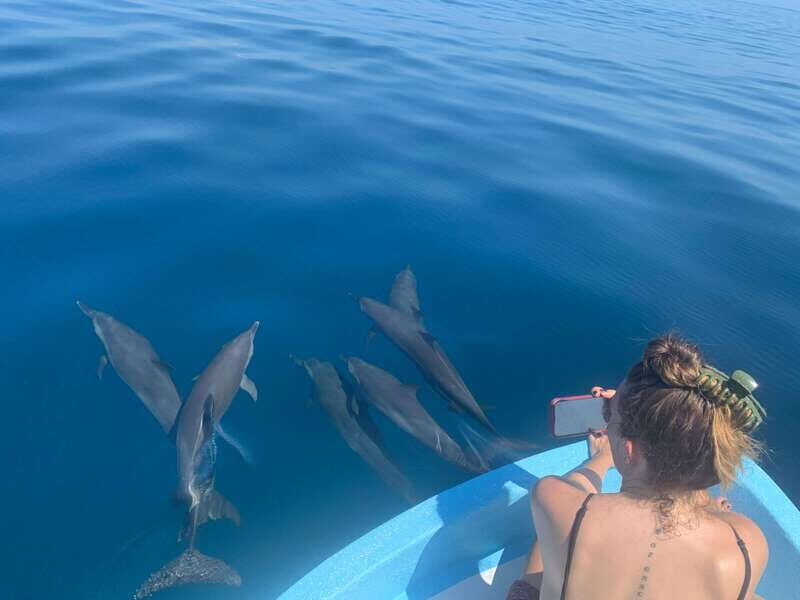 Puerto Escondido: Boat Tour to see Dolphins and Marine Life - The Experience: What to Expect on the Boat Tour