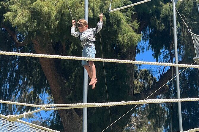 Recreational Flying Trapeze Classes
