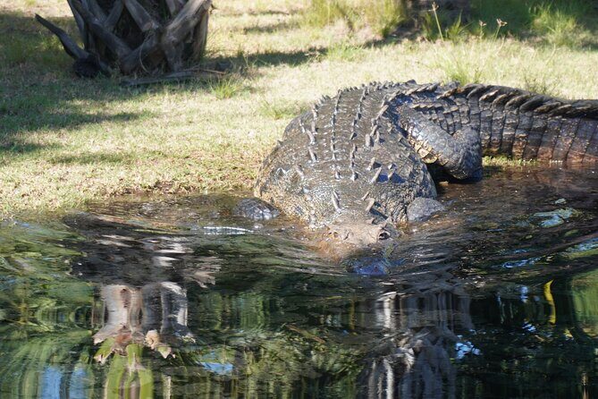 Reptile Eco Tour in Oaxacas Coastal Communities - The Sum Up