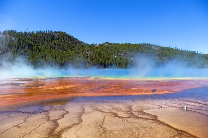 Salt Lake City Departure Yellowstone Park 3-day Panoramic Tour - What We Love About This Tour