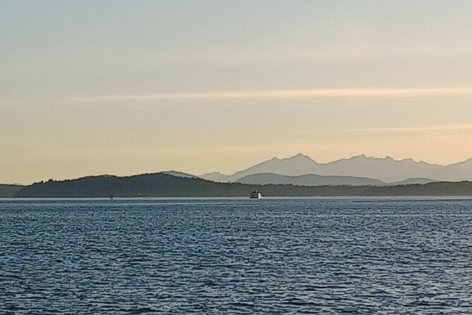 Seattle Sightseeing ScooTour - What Travelers Say