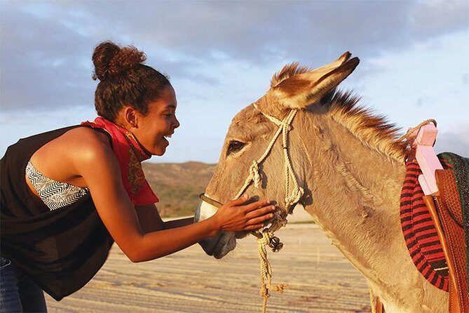 Sunset Pacific Donkey Hiking Tour - Who Will Love This Tour?