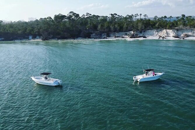 Swim with Dolphins And Snorkeling Group Tour - How This Tour Delivers Value