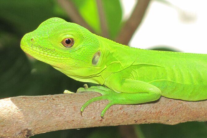 Wildlife Eco Tour on the coast of Oaxaca. - The Realities of the Tour Experience