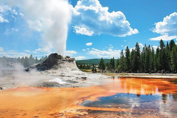 Yellowstone Grand Teton and Coeur dAlene 5-Day Tour from Seattle - What Travelers Are Saying