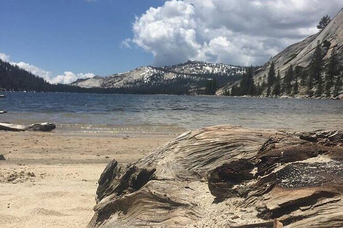 Yosemites High Country Adaptive Tour - Who Should Consider This Tour?